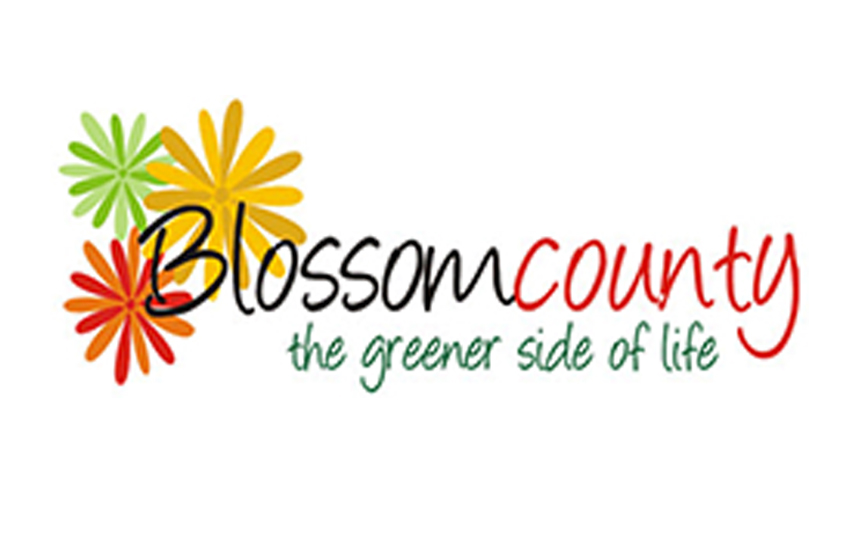 Blossom County Noida