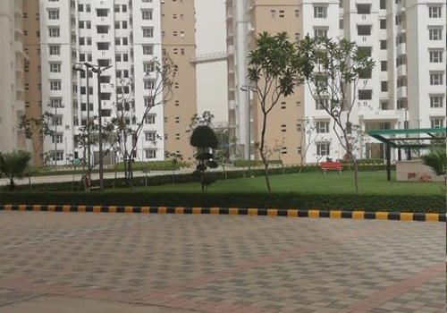 2, 3 BHK Apartments in Noida